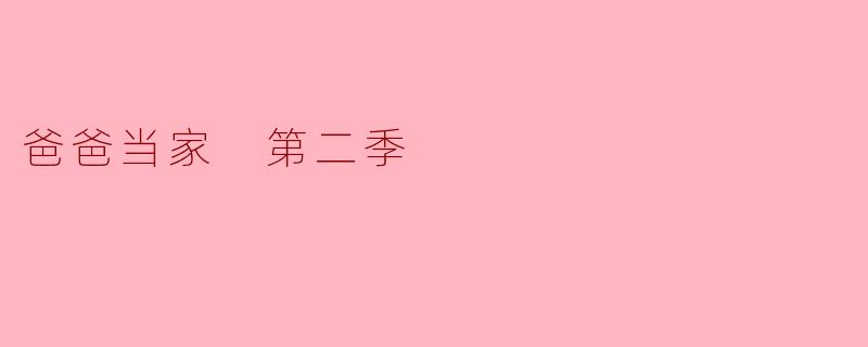 爸爸当家 第二季